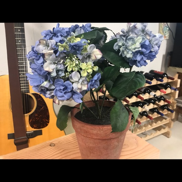 Other - Silk hydrangea plant